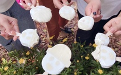 韩国女主播内部vip自带氏巾